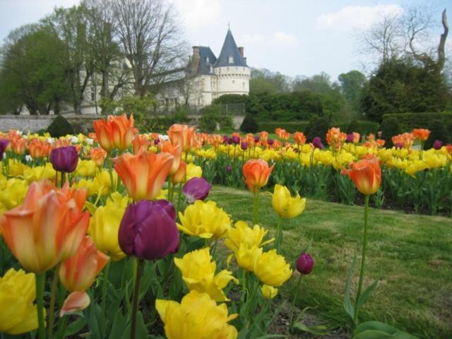 Le Refuge De Normandie Avec Et Cheminee